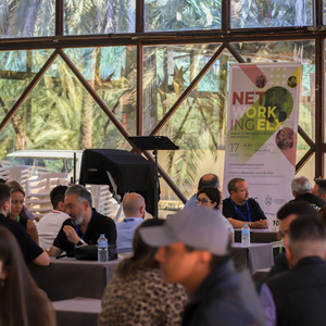 Empresarios participando en una jornada de networking empresarial organizada por AESEC en Elche.